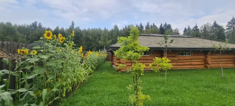 Изба люкс из рубленого бревна с двумя спальнями до 4 гостей, фото 2