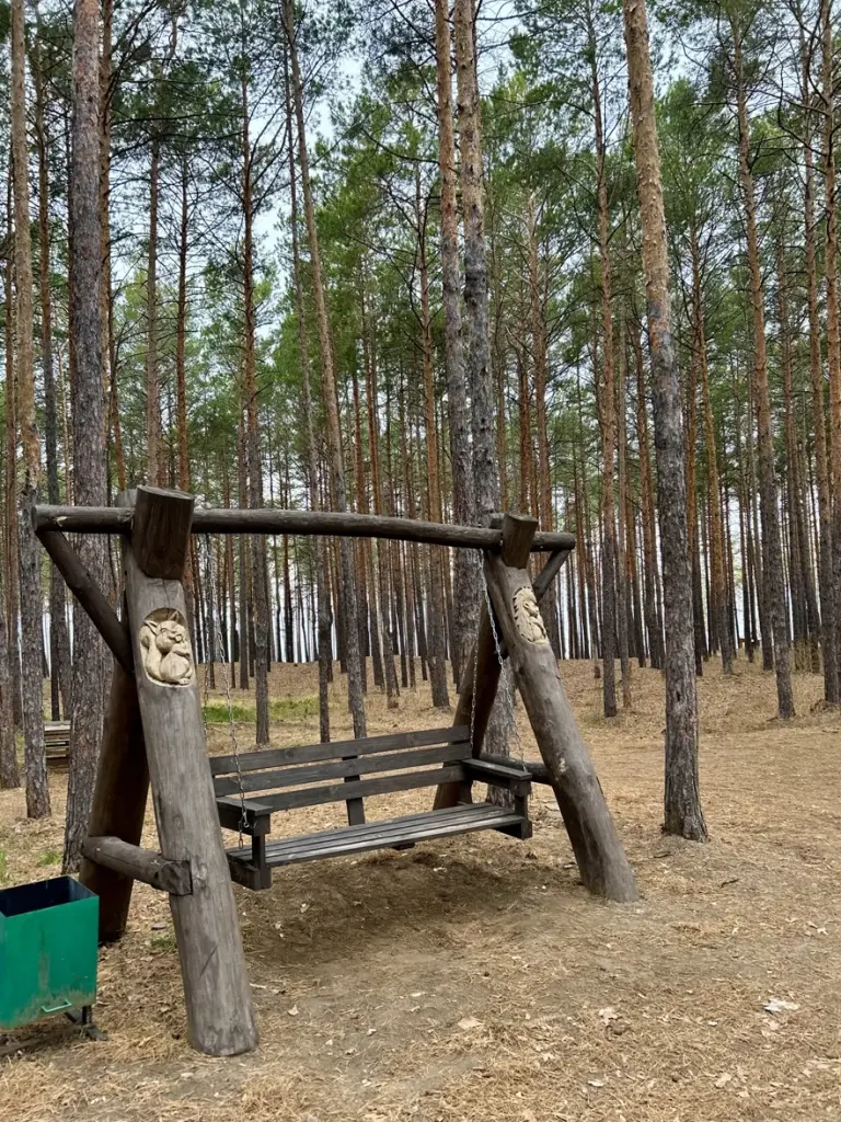 Крытая веранда с мангальной зоной в бору до 50 человек, фото 5
