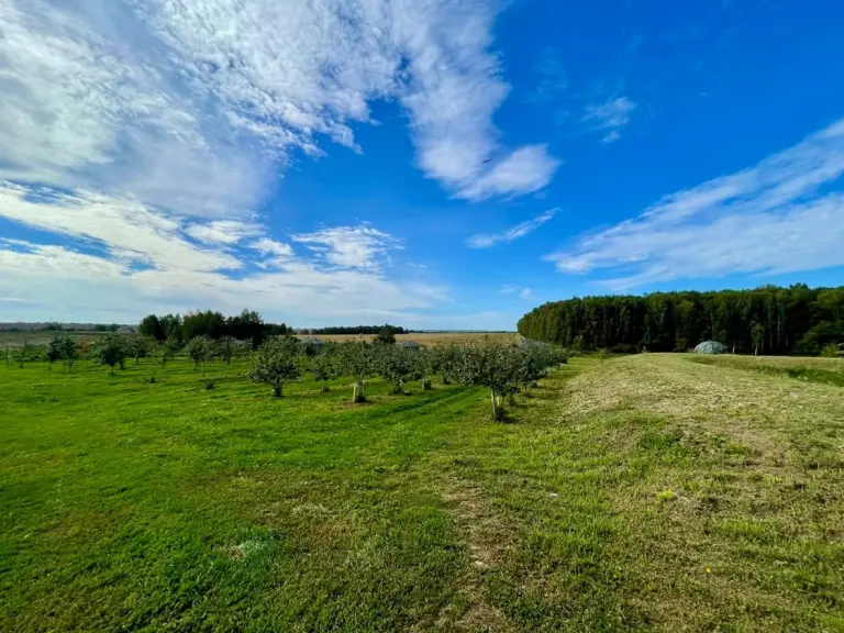 Глэмпинг «Аблъко Резорт» в Торкотино, фото 1