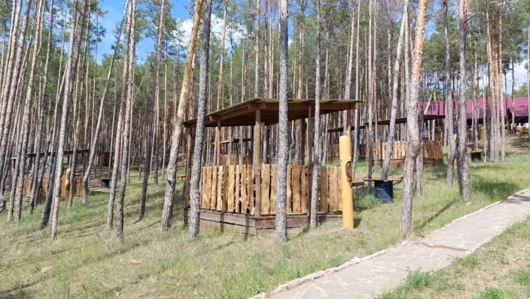 Беседка 1 с мангалом в сосновом бору до 15 человек, фото 3