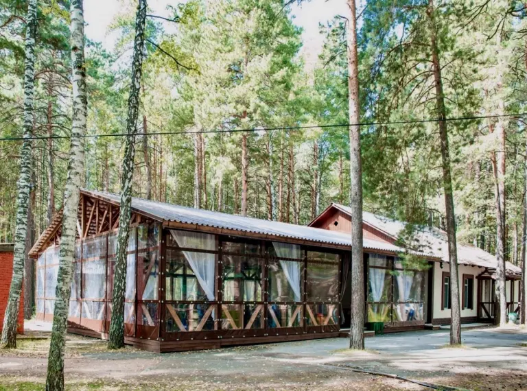Веранда «Лесная» 150 м² для свадеб и банкетов до 100 гостей, Шатёр, Новосибирская область, Новосибирский район