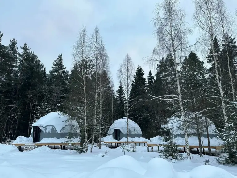 Купольный дом Premium с видом на лес для двоих, фото 3