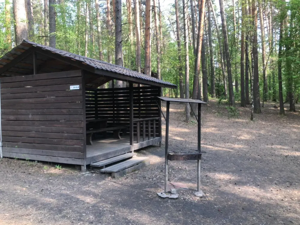 Большая открытая беседка, фото 1