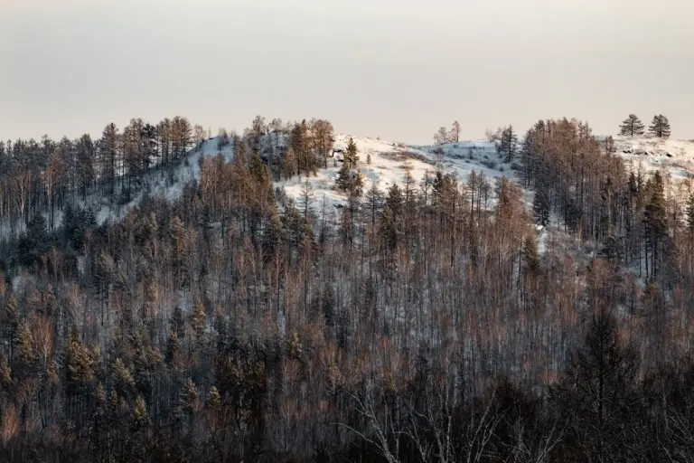 Дома «ВГости» в Абзаково, фото 2