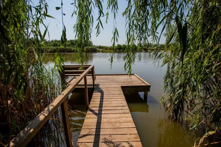 Клуб загородного отдыха «Усадьба Фамилия» в Пластуновской, фото 7