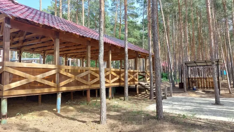 Крытая веранда с мангальной зоной в бору до 50 человек, фото 2