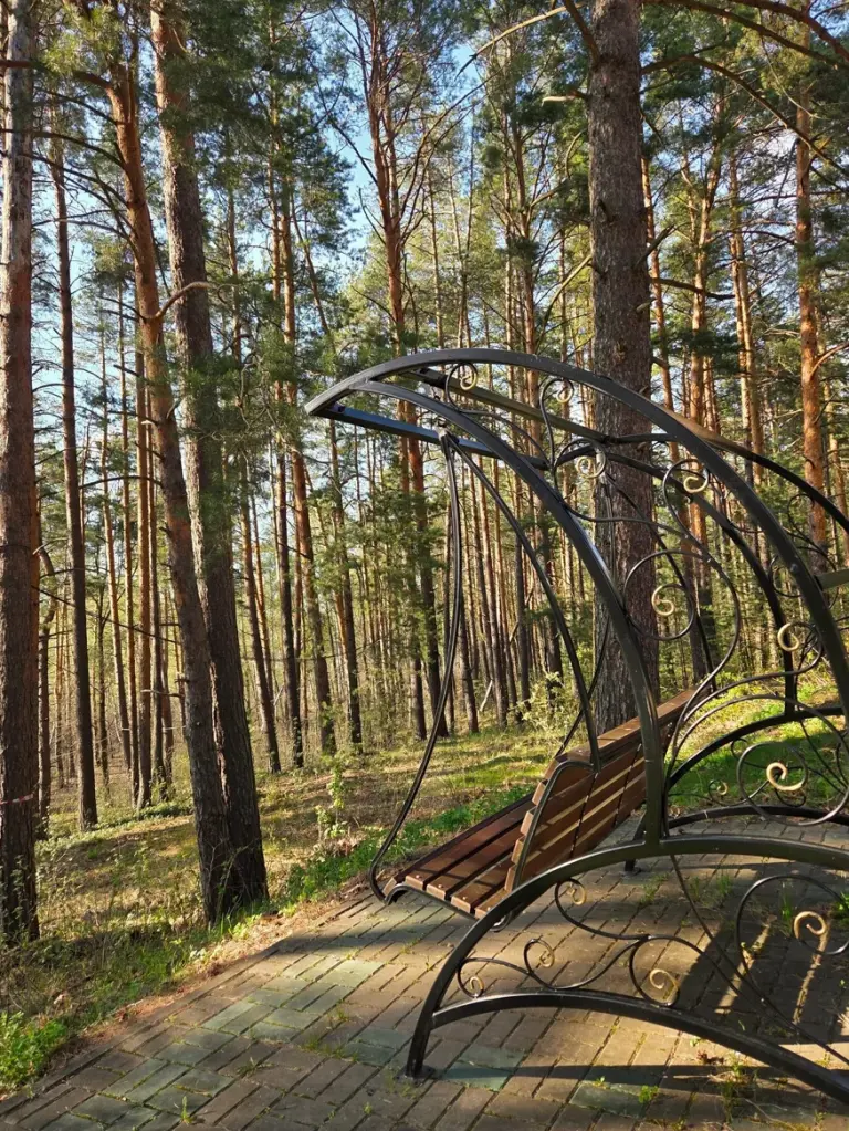 SPA-отель «Алсма» в сосновом лесу под Бором, фото 4