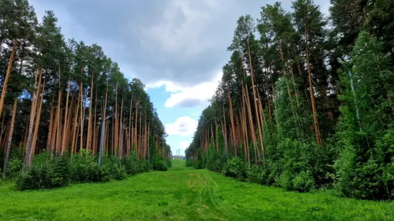 Глэмпинг «Гора Лиственная», фото 5