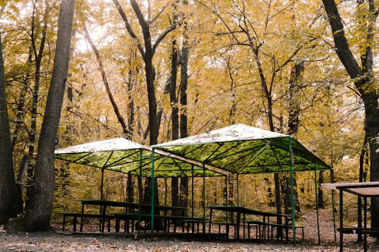 Гостиничный комплекс «Лесная крепость» в бору на юге Самары, фото 3