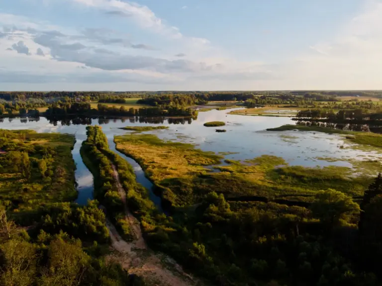 Fraubu.camp на берегу Рузы, Частная площадка