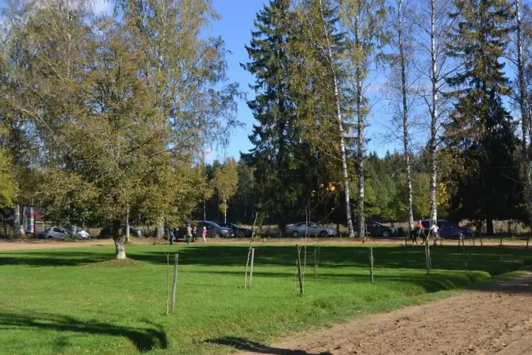 Домик Деда Мороза (Токсово), фото 8