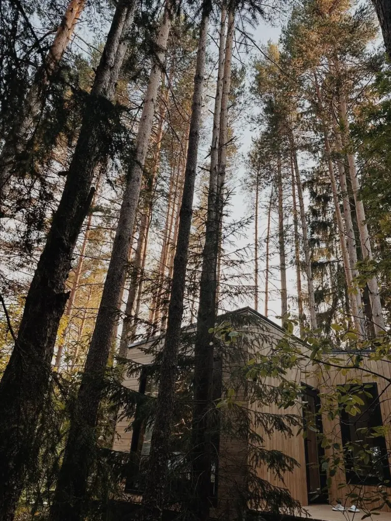 Глэмпинг «Dushevno House», фото 1