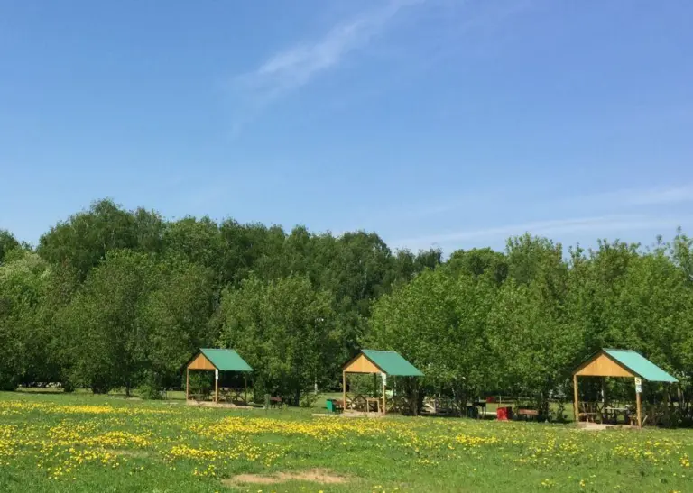 Мангальные площадки на территории Парк Отель Куркино, фото 4