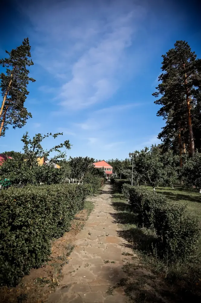 Беседки на лесной территории до 40 человек, фото 1