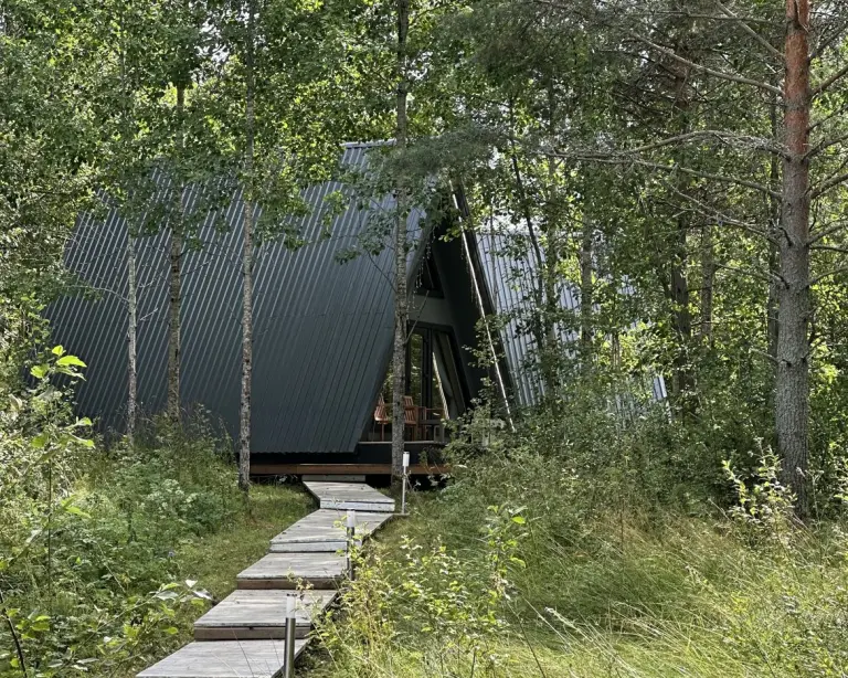 А-фрейм 40 м² с террасой и своей ванной до 3 гостей (2 одинаковых дома), фото 2