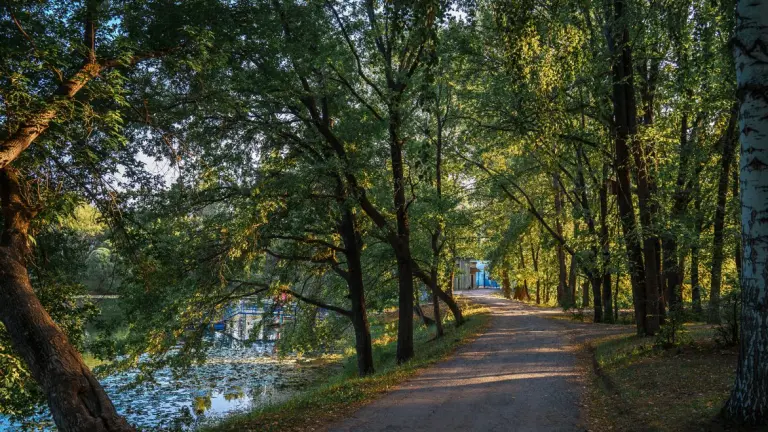 Турбаза «Алые Паруса» на Фёдоровских лугах, фото 8