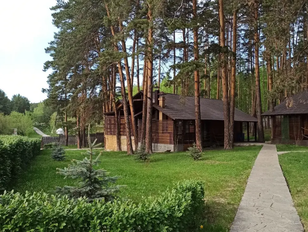 Коттедж с сауной на дровах и своим бассейном до 6 гостей, фото 1