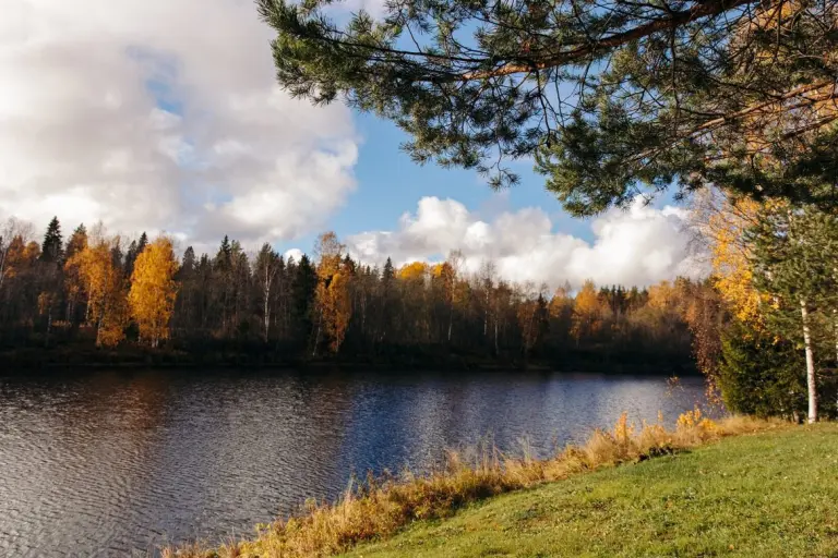 Эко-отель Harland на реке Шуя, База отдыха