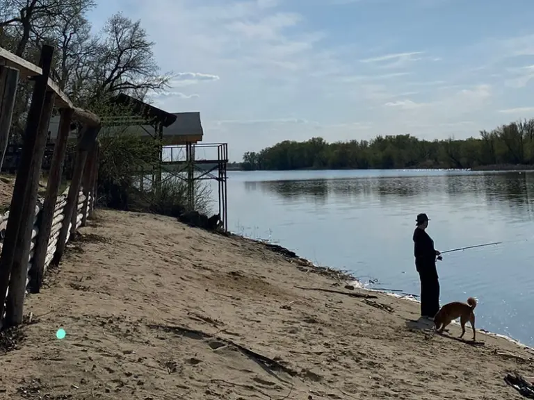 Турбаза «Донская Миля» в Вертячем, фото 8