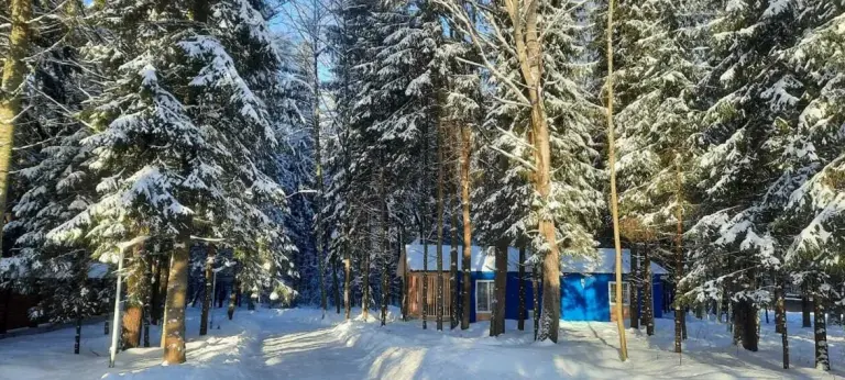 Green Forest Ecoclub: бревенчатые избы в лесу у Волги, фото 4