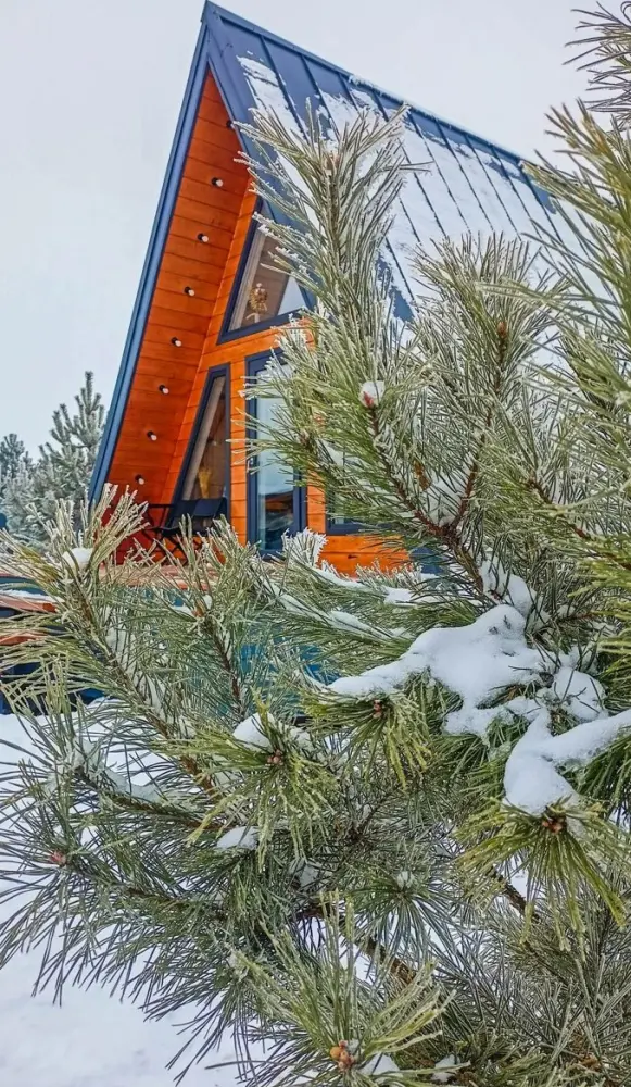 Инлес Хаус: дома с чаном и баней в Шумилово, фото 2