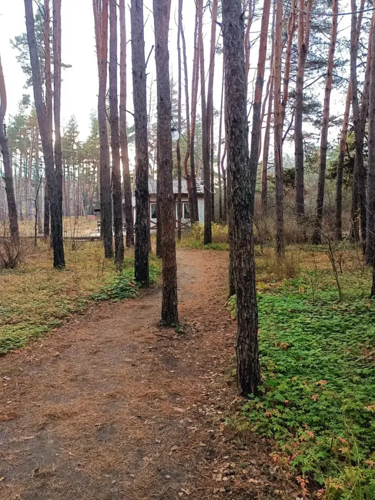 РентПарк на Героев Сибиряков, фото 2