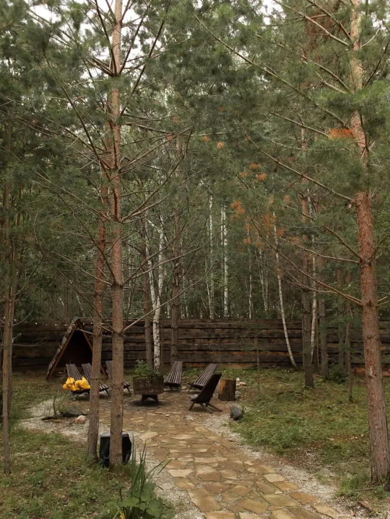 A-frame домики Forest Tale в Дегтярске, фото 2