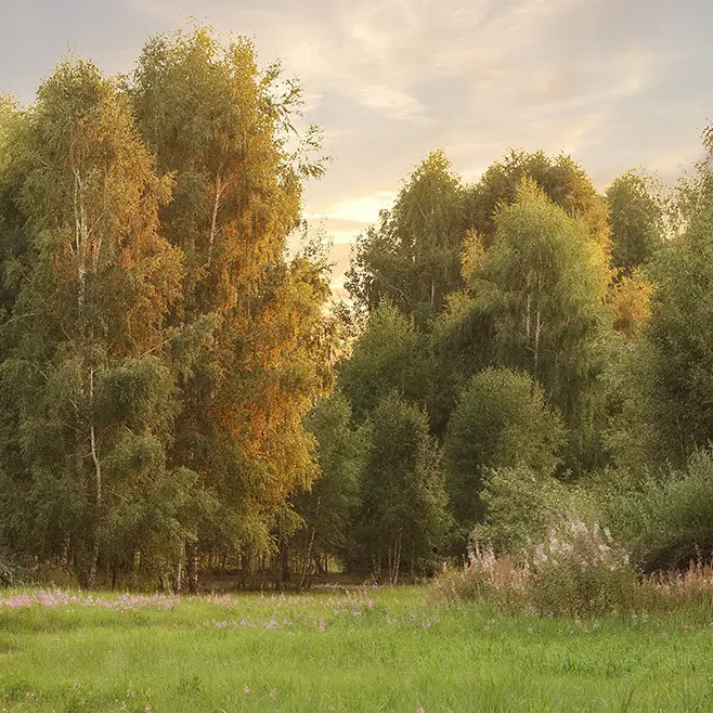 Глэмпинг «А-Ферма» у Авсюнино, фото 8