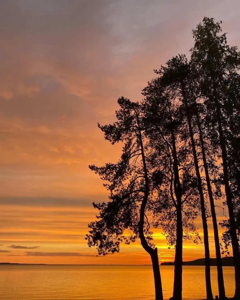 Глэмпинг NewCamp Эссойла на Сямозере, фото 8