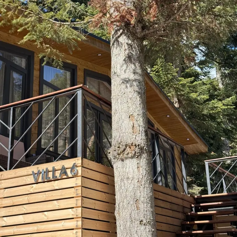 Шале Peak Chalet с панорамными окнами на горы до 8 гостей, фото 2