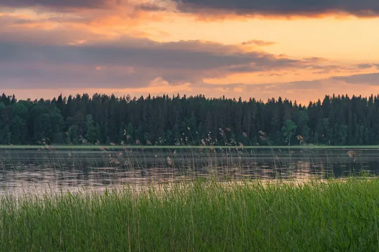 Лесной отель «Янисъярви» на берегу озера, фото 3