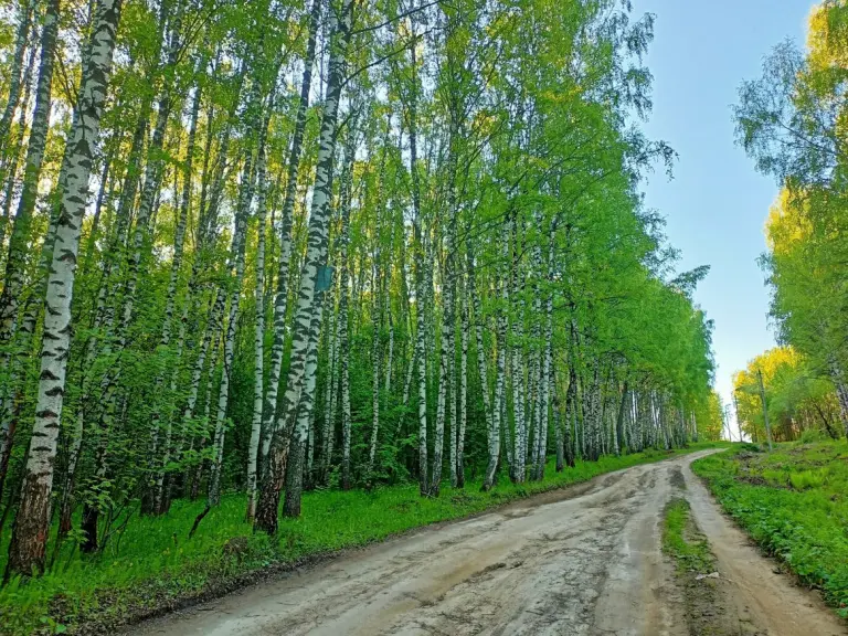 Инлес Хаус: дома с чаном и баней в Шумилово, фото 3