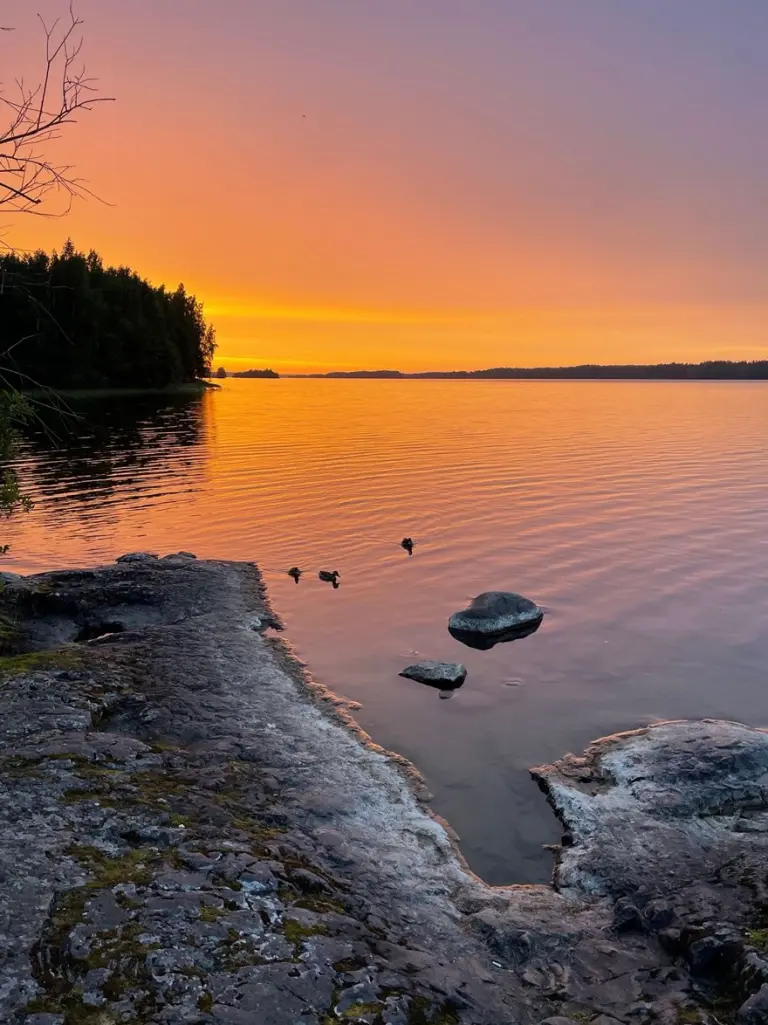 Глэмпинг «Сампо» у Петрозаводска, фото 4