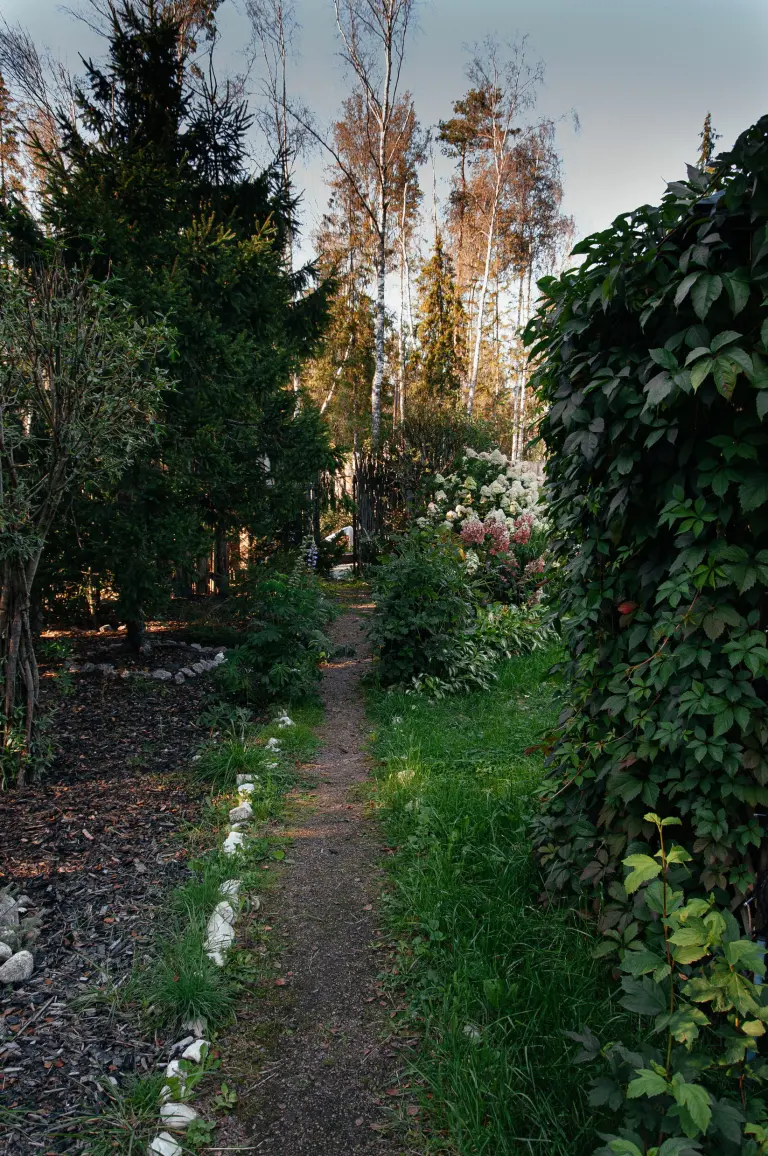 Лопановичъ Spa PARK, фото 3