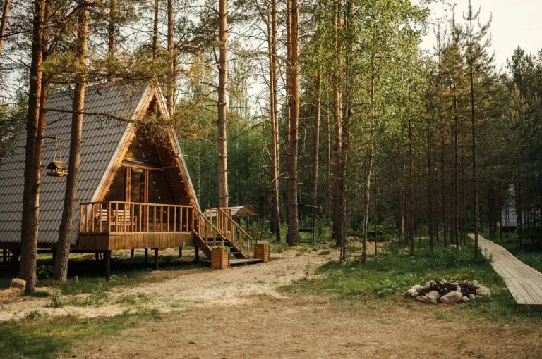 База отдыха «Живой Ручей» на реке Луге, фото 2
