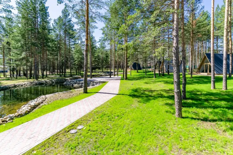Малый A-фрейм 36 м² у пруда до 4 гостей, фото 2
