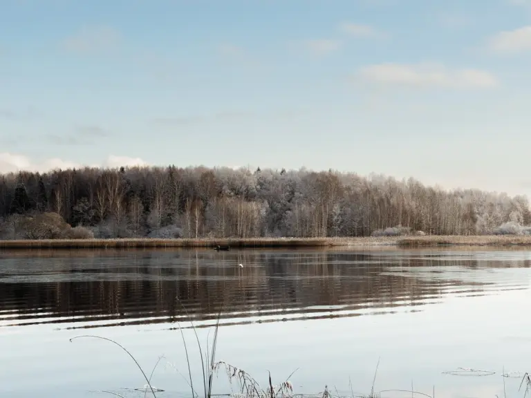 Глэмпинг-парк «Берег Желаний» в Шевлино, фото 7