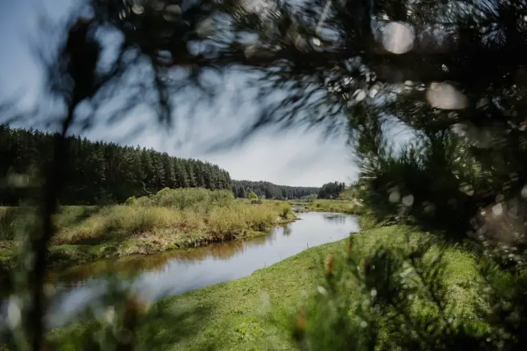 Парк-отель «Тутань» у реки Тьмы, Парк-отель / загородный клуб, Тверь