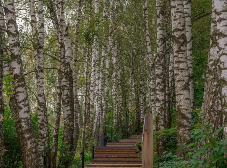 Загородный отель Just WOOD на реке Осётр, фото 2