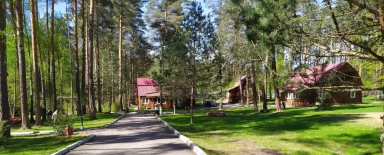 Парк-отель «Премьера» в Егнышевке, фото 7