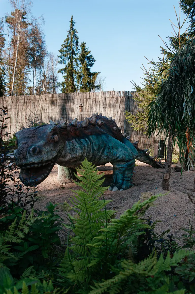 Лопановичъ Spa PARK, фото 4