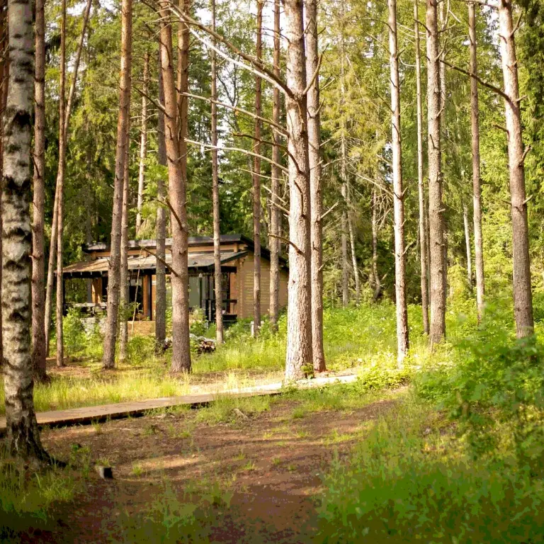 «На острове» на озере Велье, фото 4