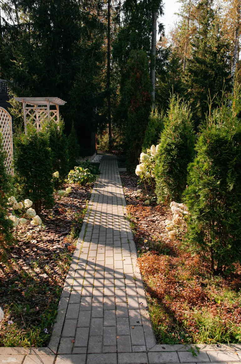 Лопановичъ Spa PARK, Частная площадка