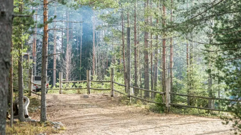 Туркомплекс «Карьяла Парк» на реке Шуя, фото 3