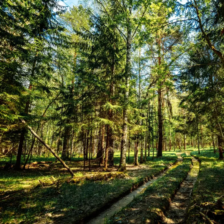 База отдыха «Королевская охота» в Погорелом Городище, фото 3
