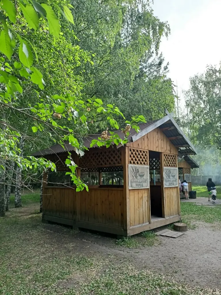 Летние беседки «Домик» с мангалом в парке «Эдельвейс» до 15 человек, фото 4